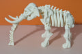Skeleton  Elephant Articulated Figure