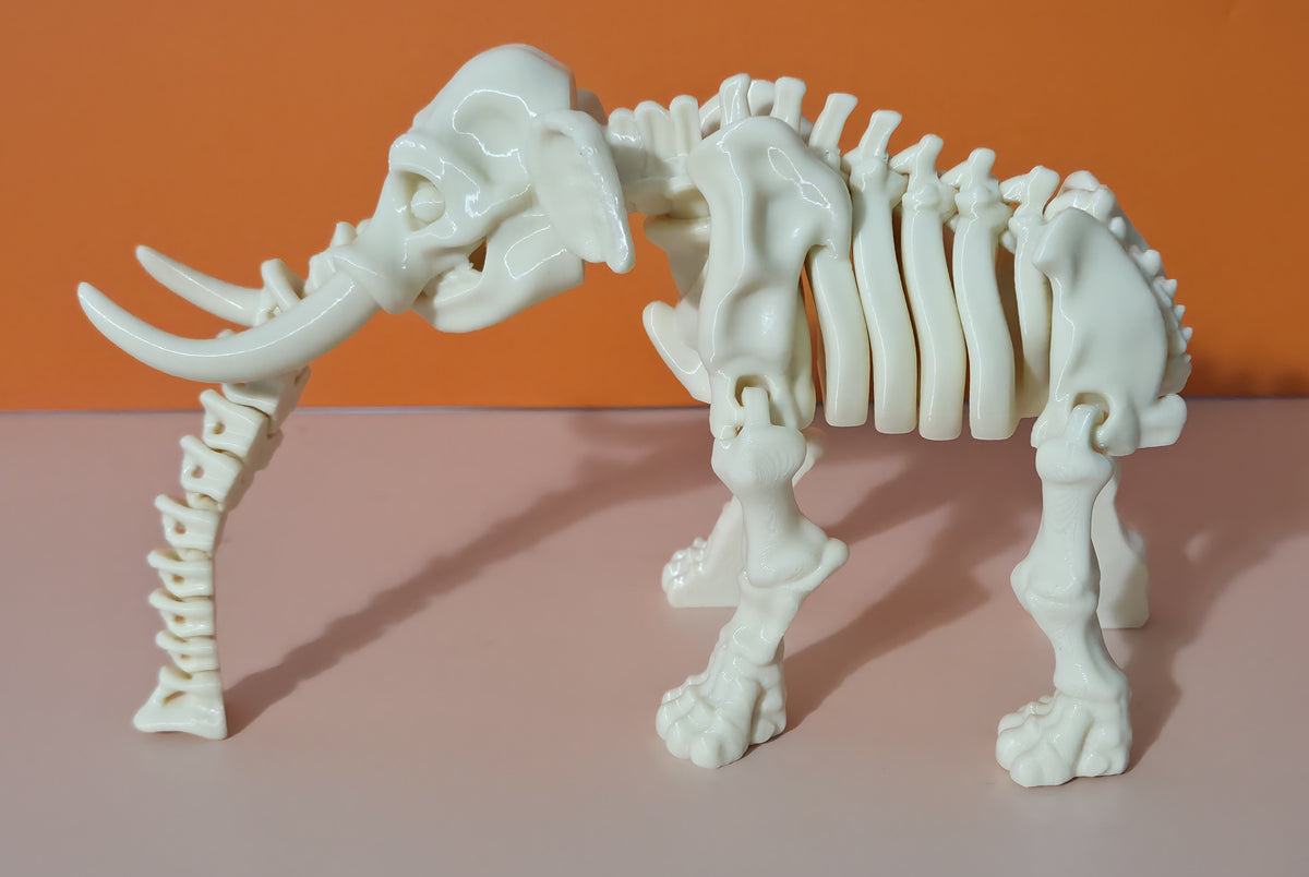 Skeleton  Elephant Articulated Figure