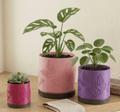 Butterfly Theme Plant Pot with Drip Tray - 3D Printed - 3 Sizes