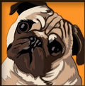 Cute Pug 3D Shadow Frame