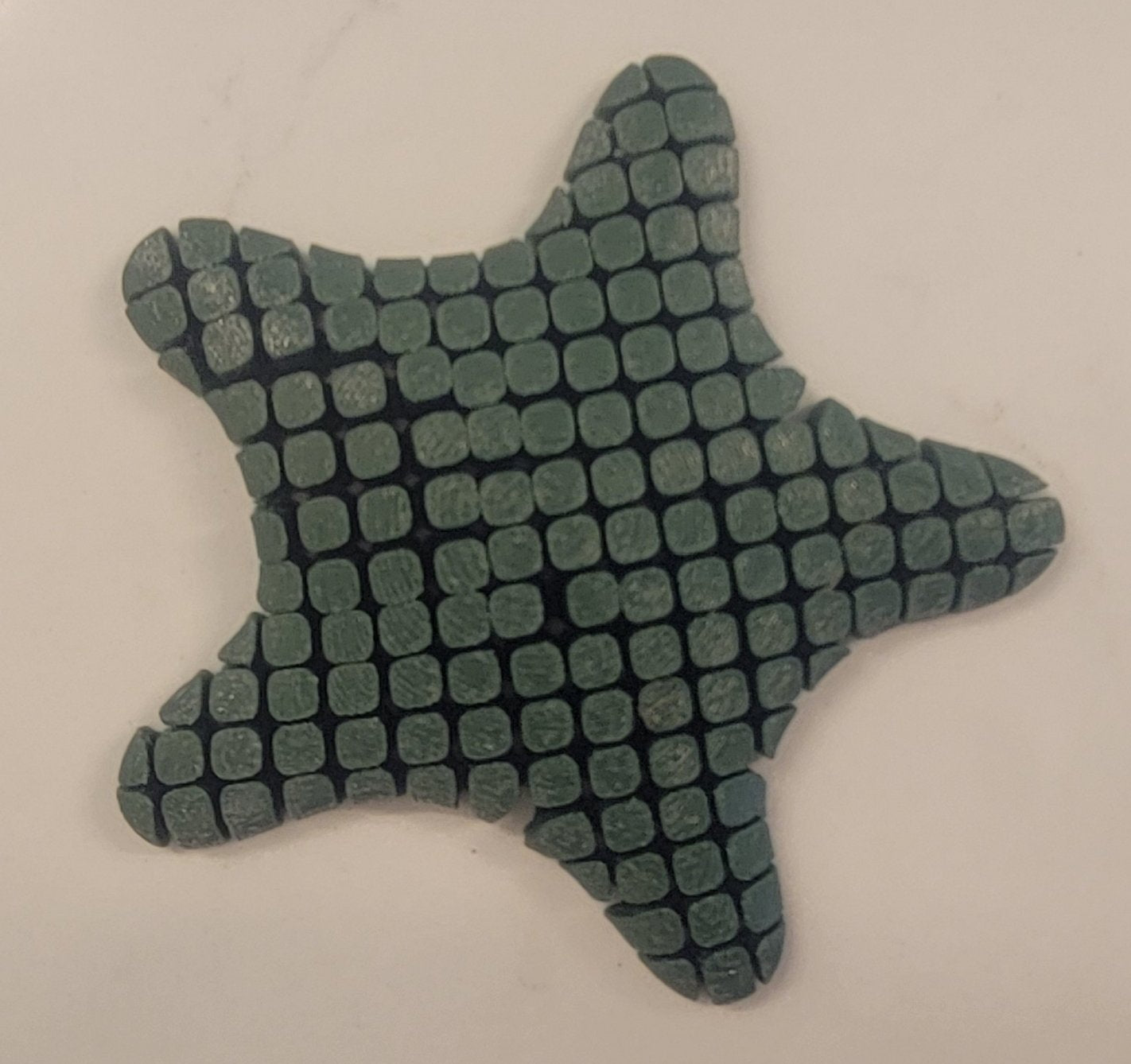 Flexible 3D Printed Starfish