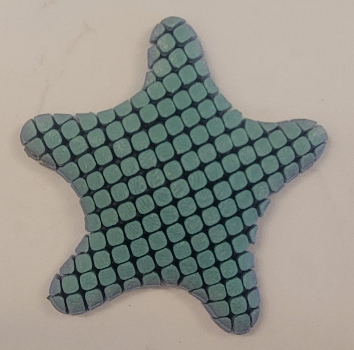 Flexible 3D Printed Starfish
