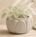 Lotus Planter Pot - 3D Printed
