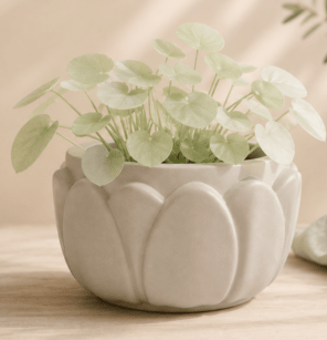 Lotus Planter Pot - 3D Printed
