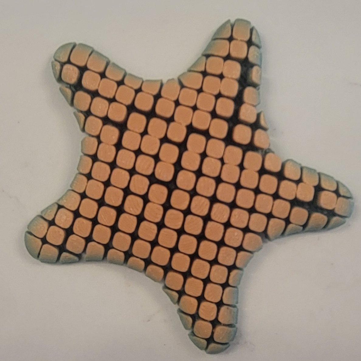 Flexible 3D Printed Starfish