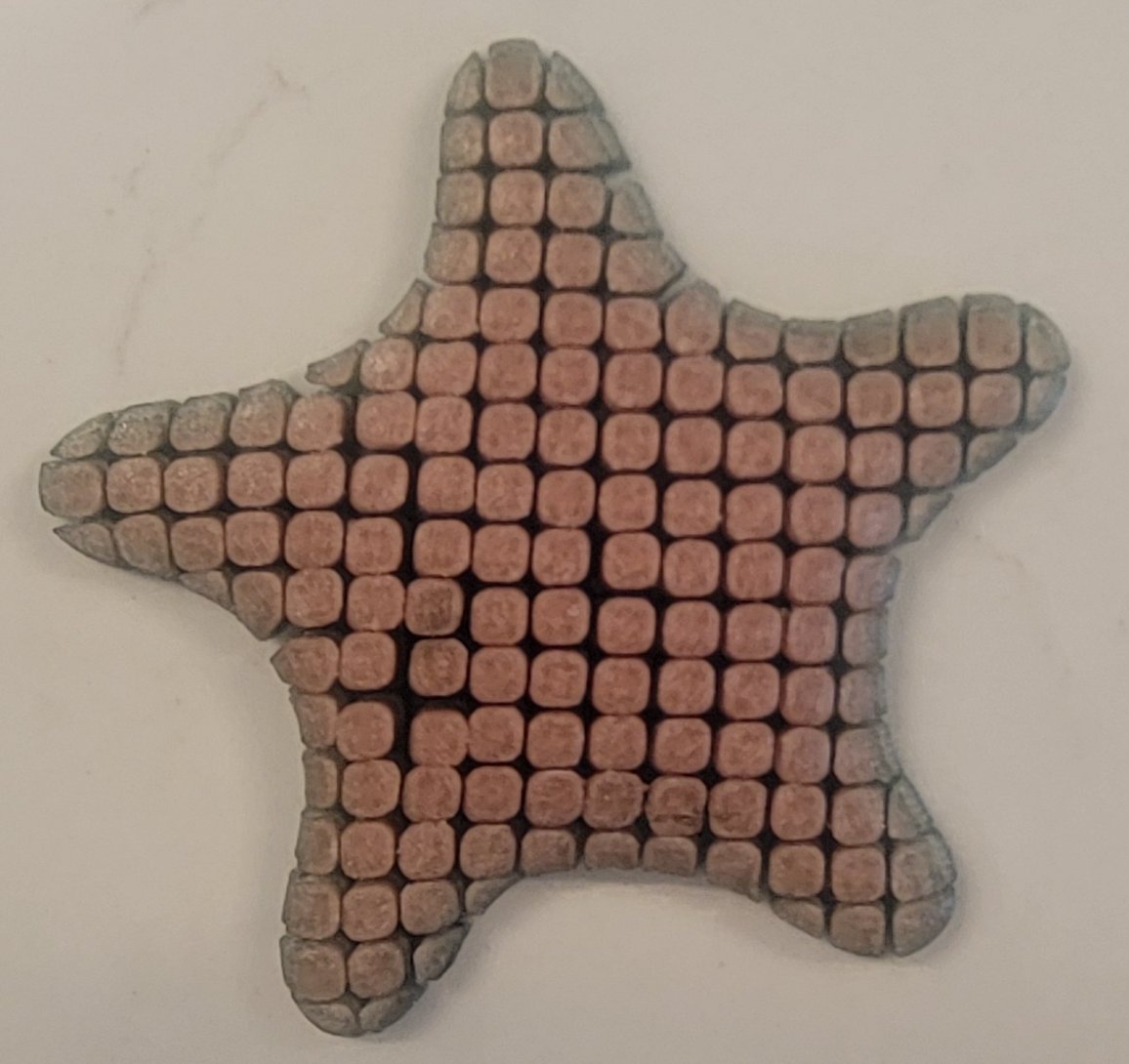 Flexible 3D Printed Starfish