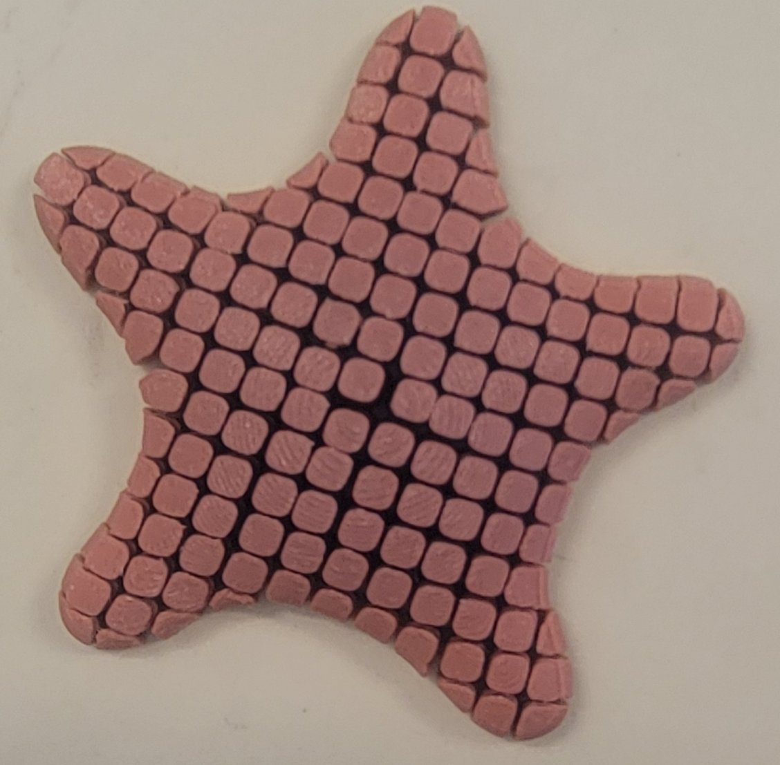 Flexible 3D Printed Starfish