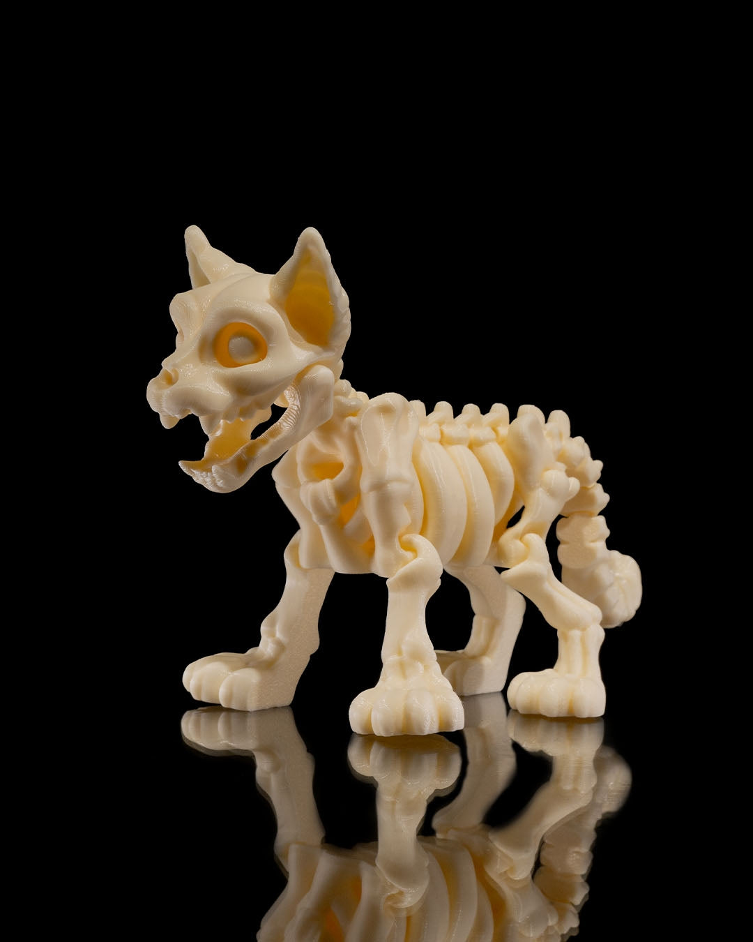 Cat Skeleton 3D Printed Articulated Toy