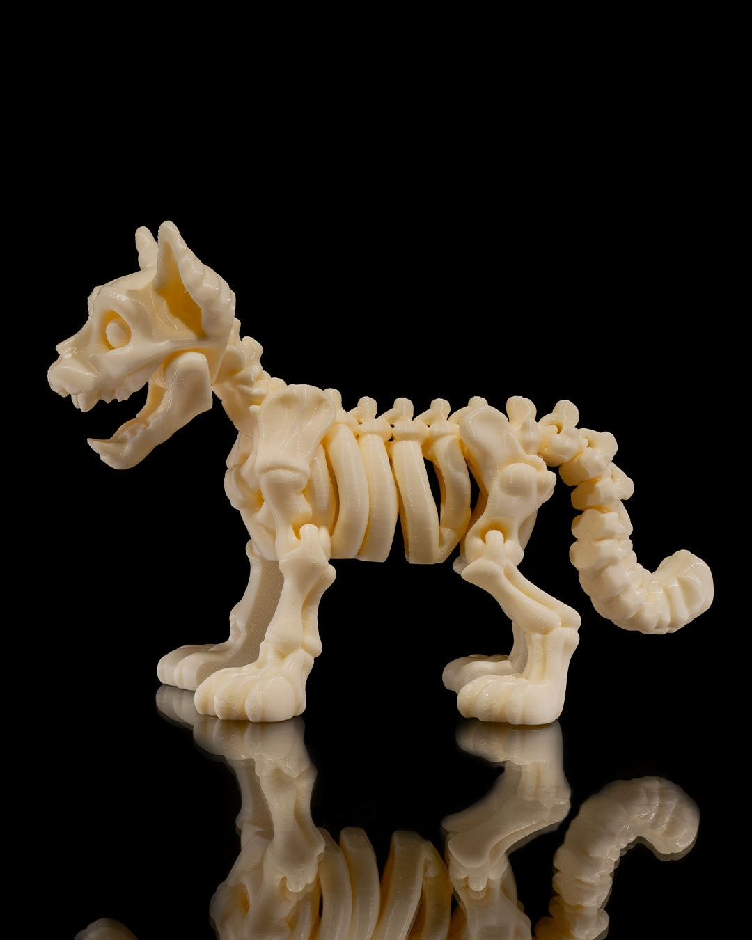 Cat Skeleton 3D Printed Articulated Toy