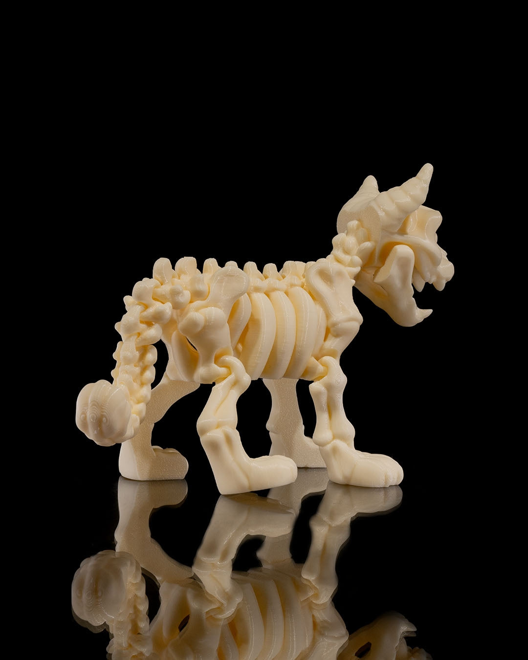 Cat Skeleton 3D Printed Articulated Toy