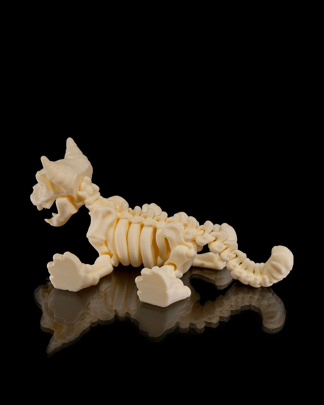 Cat Skeleton 3D Printed Articulated Toy