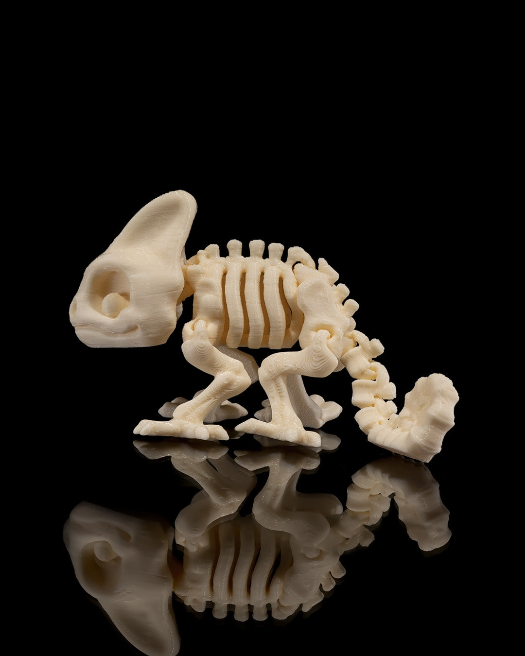 Chameleon Skeleton 3D Printed Articulated Toy