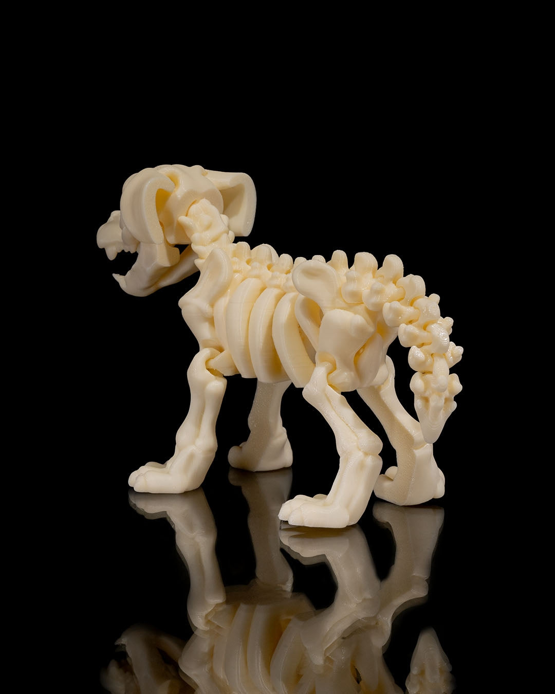 Dog Skeleton 3D Printed Articulated Toy