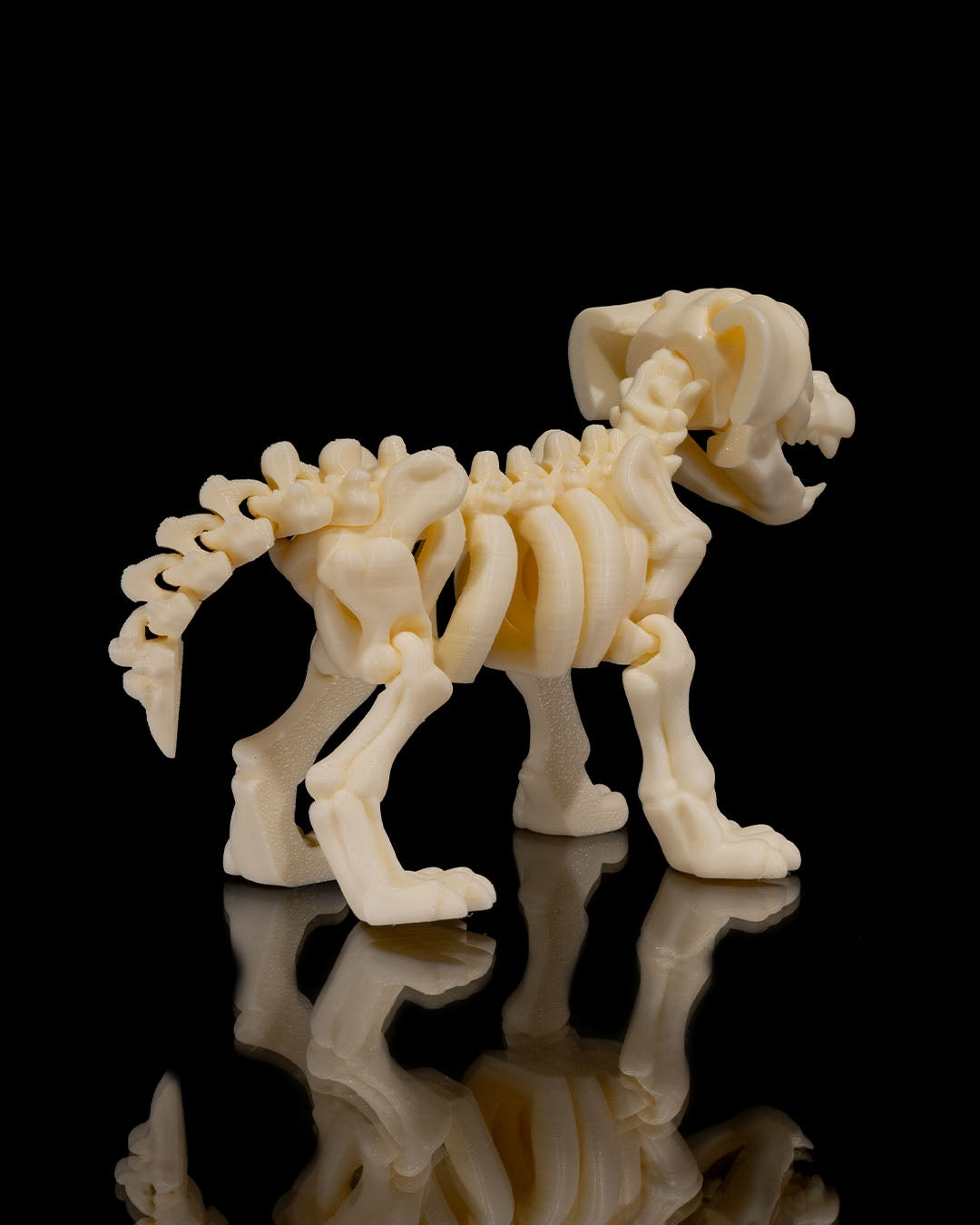 Dog Skeleton 3D Printed Articulated Toy