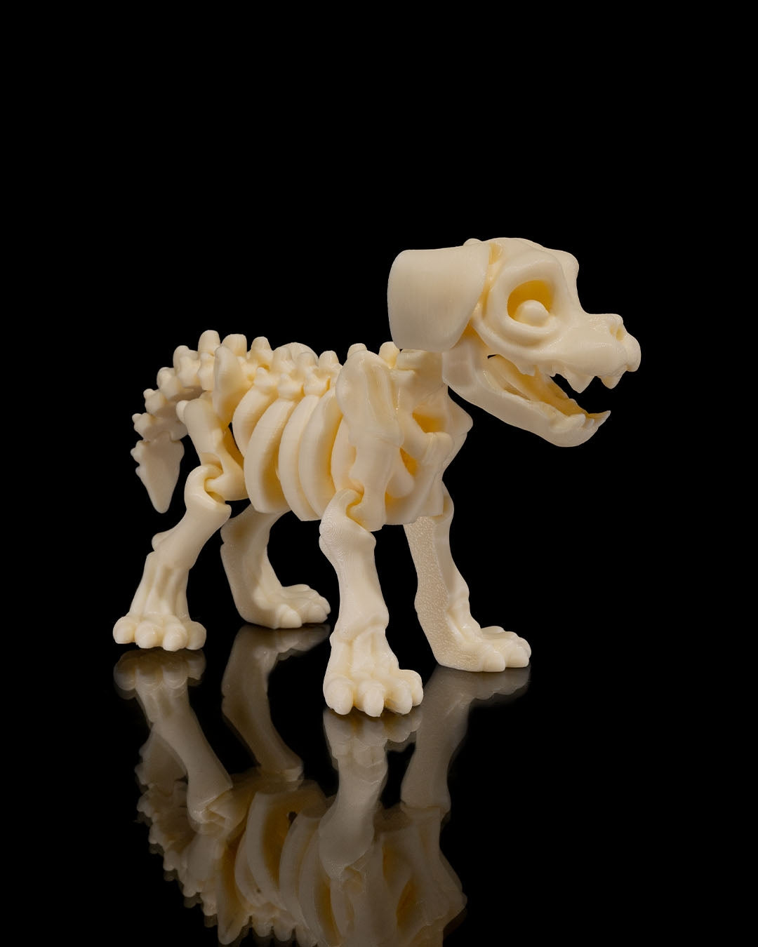 Dog Skeleton 3D Printed Articulated Toy