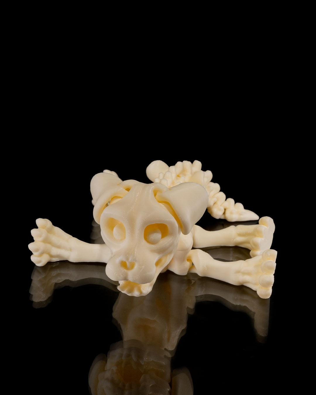 Dog Skeleton 3D Printed Articulated Toy