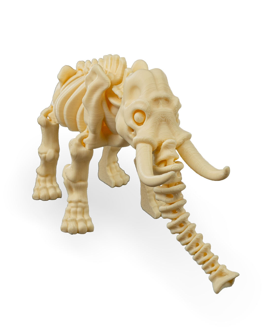 Skeleton  Elephant Articulated Figure