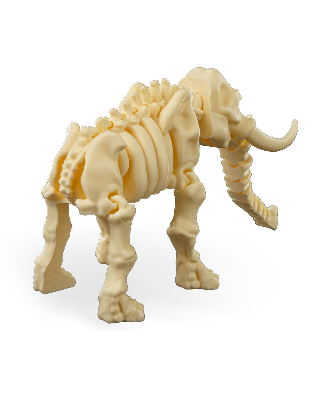 Skeleton  Elephant Articulated Figure