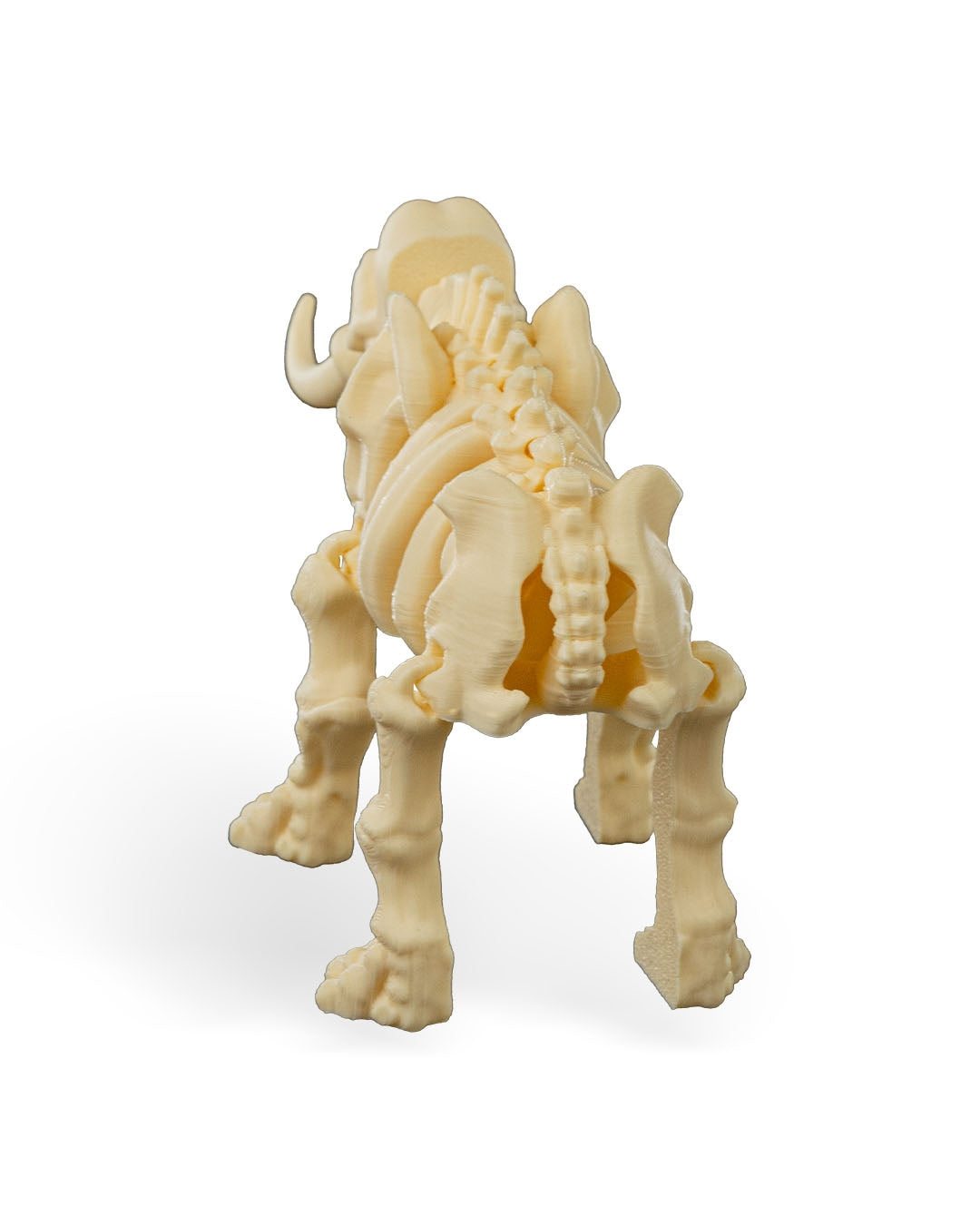 Skeleton  Elephant Articulated Figure