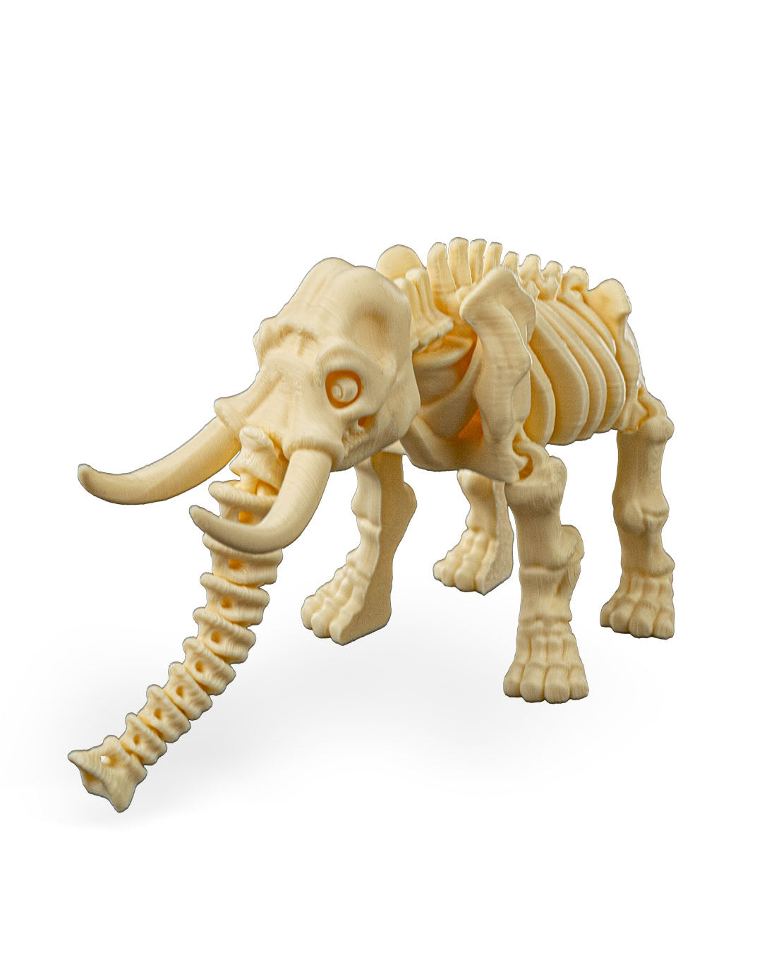 Skeleton  Elephant Articulated Figure