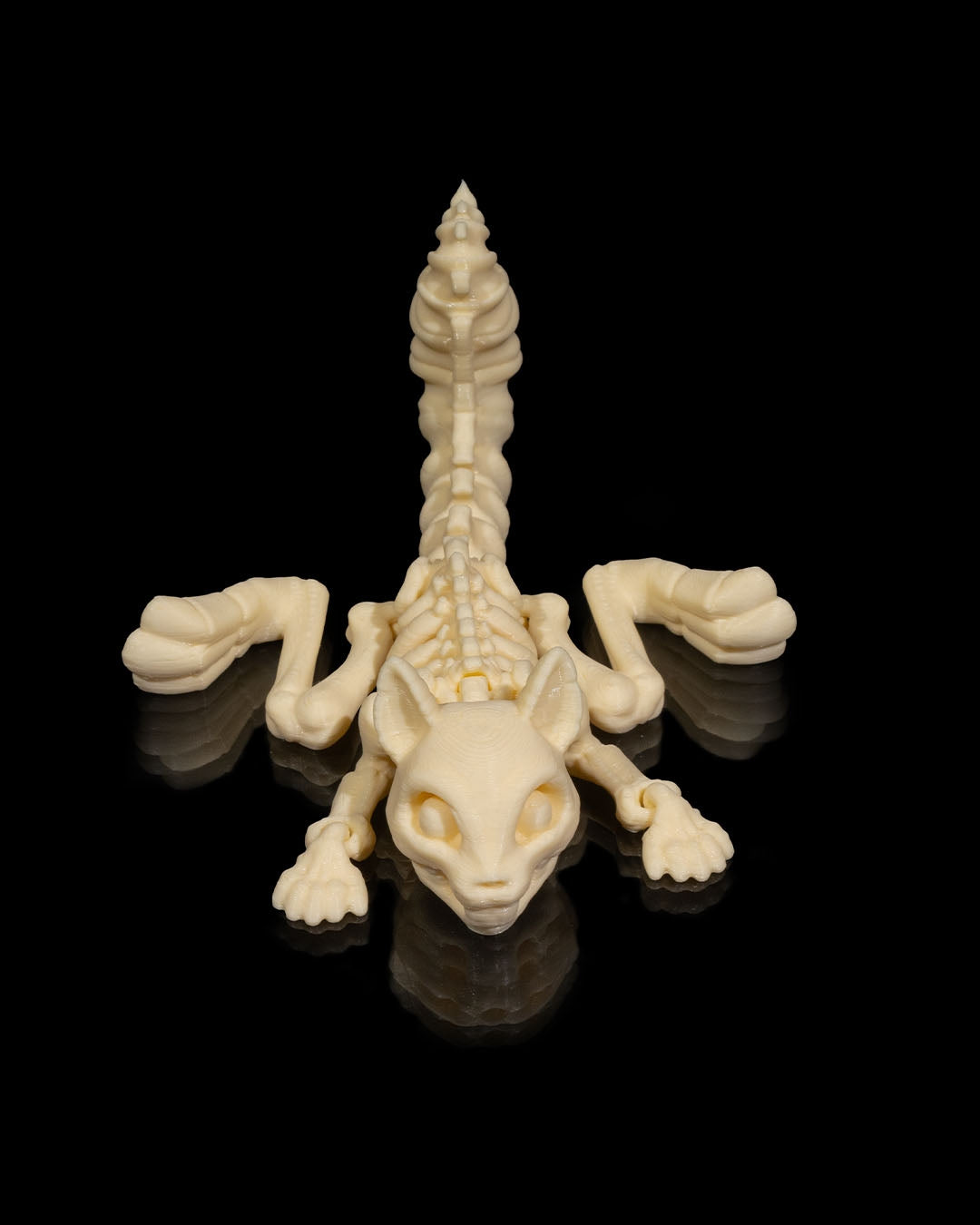 Squirrel Skeleton 3D Printed Articulated Toy