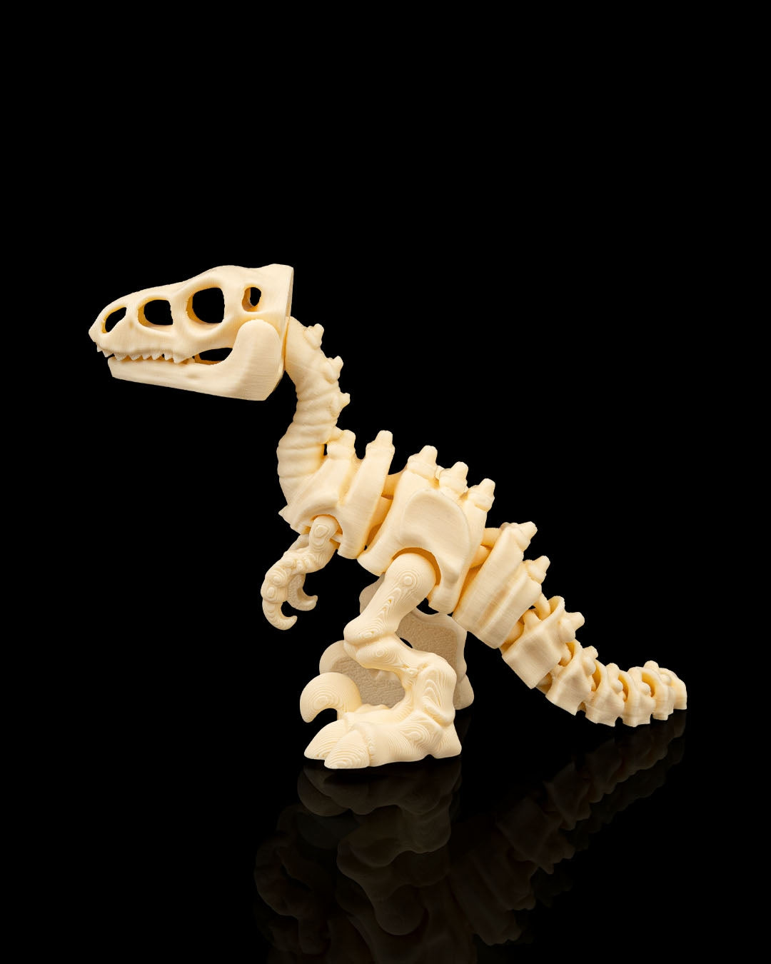 Velociraptor Dinosaur Skeleton Articulated Figurine