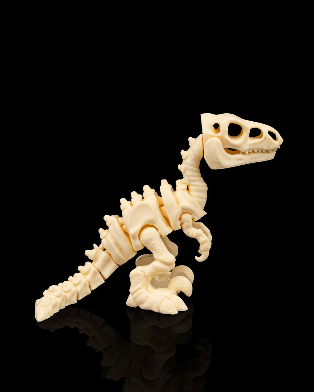 Velociraptor Dinosaur Skeleton Articulated Figurine
