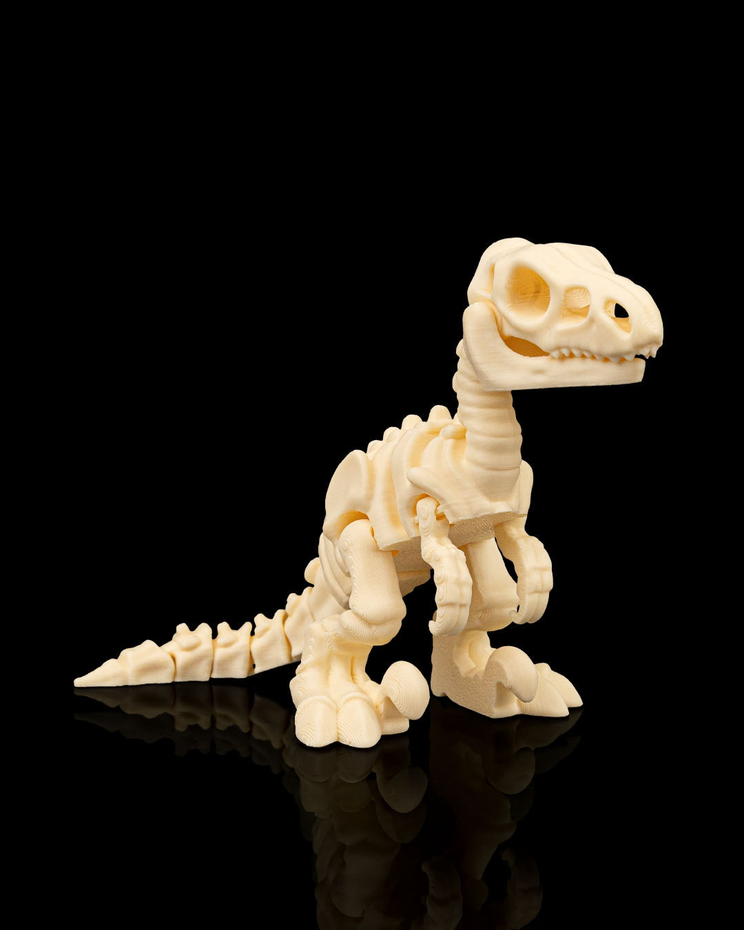 Velociraptor Dinosaur Skeleton Articulated Figurine