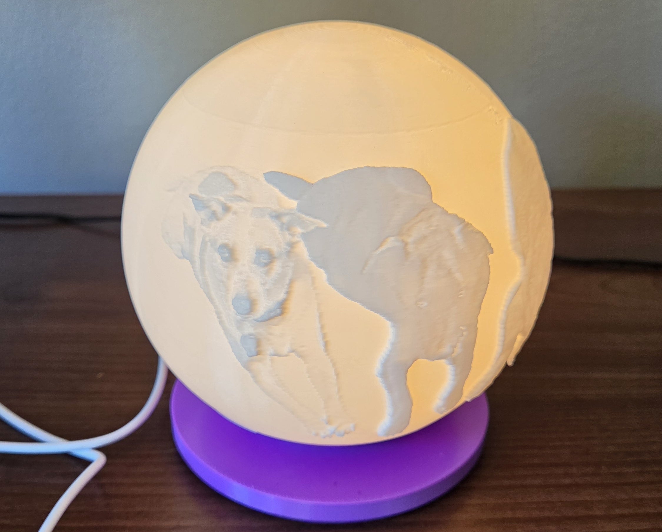 Personalized Globe Photo Lamp Lithopane